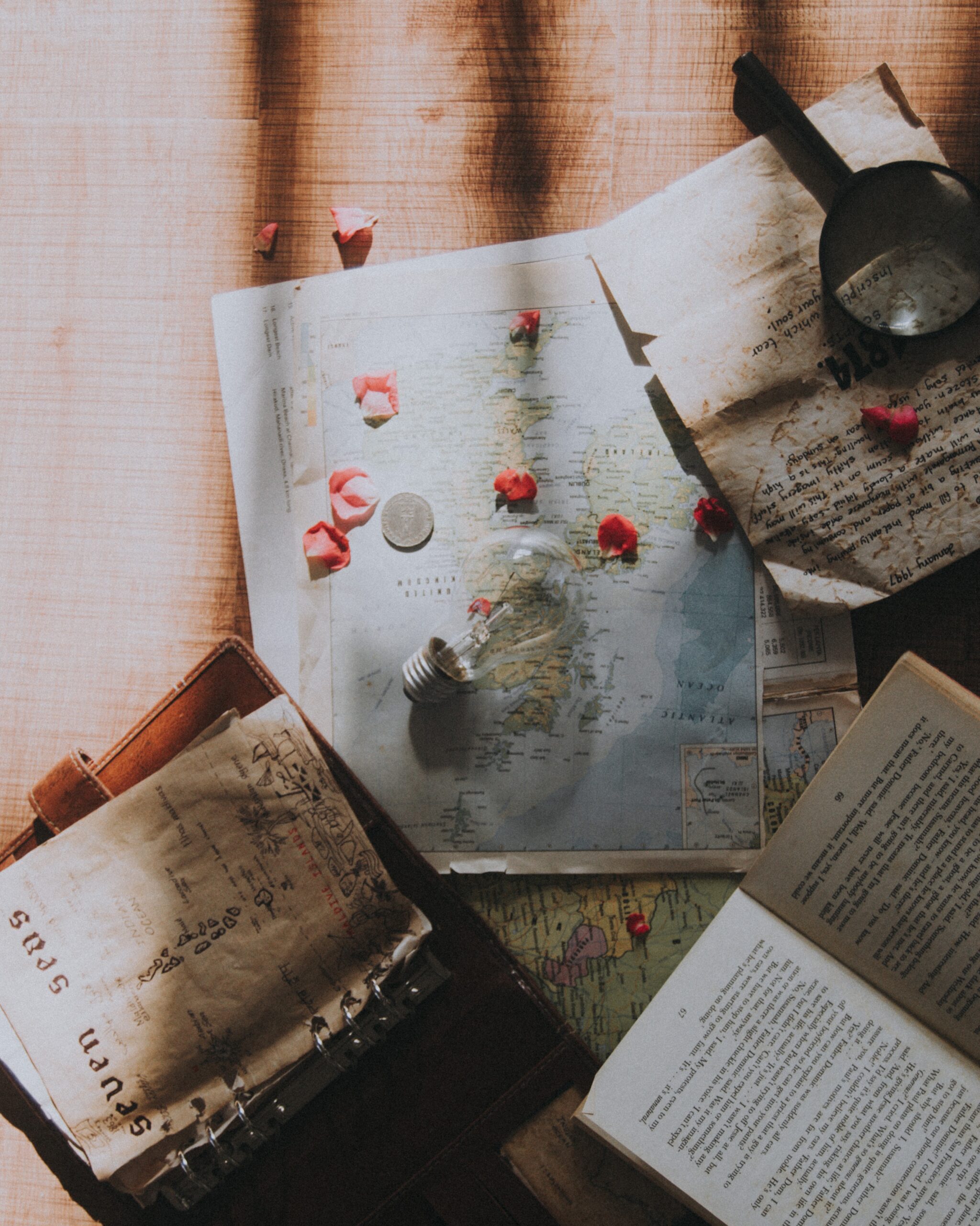 abyan-athif-Ri8t9fJ3WLY-unsplash abyan-athif-Ri8t9fJ3WLY-unsplash